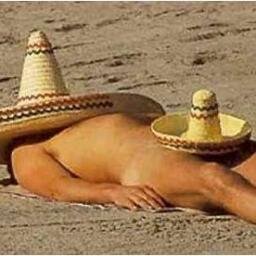 DanDaCane's profile picture. 