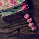 •ْ'ƊσσƊƴ (@0530759910) Twitter