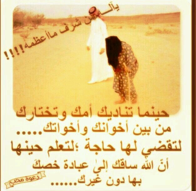 قالوا سكت وقد خوصمت قلت لهم 
 إن الجواب لباب الشر مفتاح 
فالعفو عن جاهل أو أحمق أدب  
نعم وفيه لصون العرض إصلاح