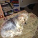 mike mccraw - @quickdraw59 - Twitter