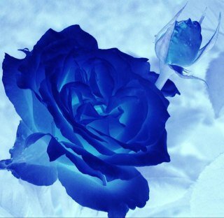 Will always tweet & follow back. Love Life!
