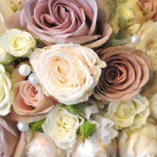 Wedding_idea_'s profile picture. Wedding ideas and help.
 ❤️Just starting on twitter❤️