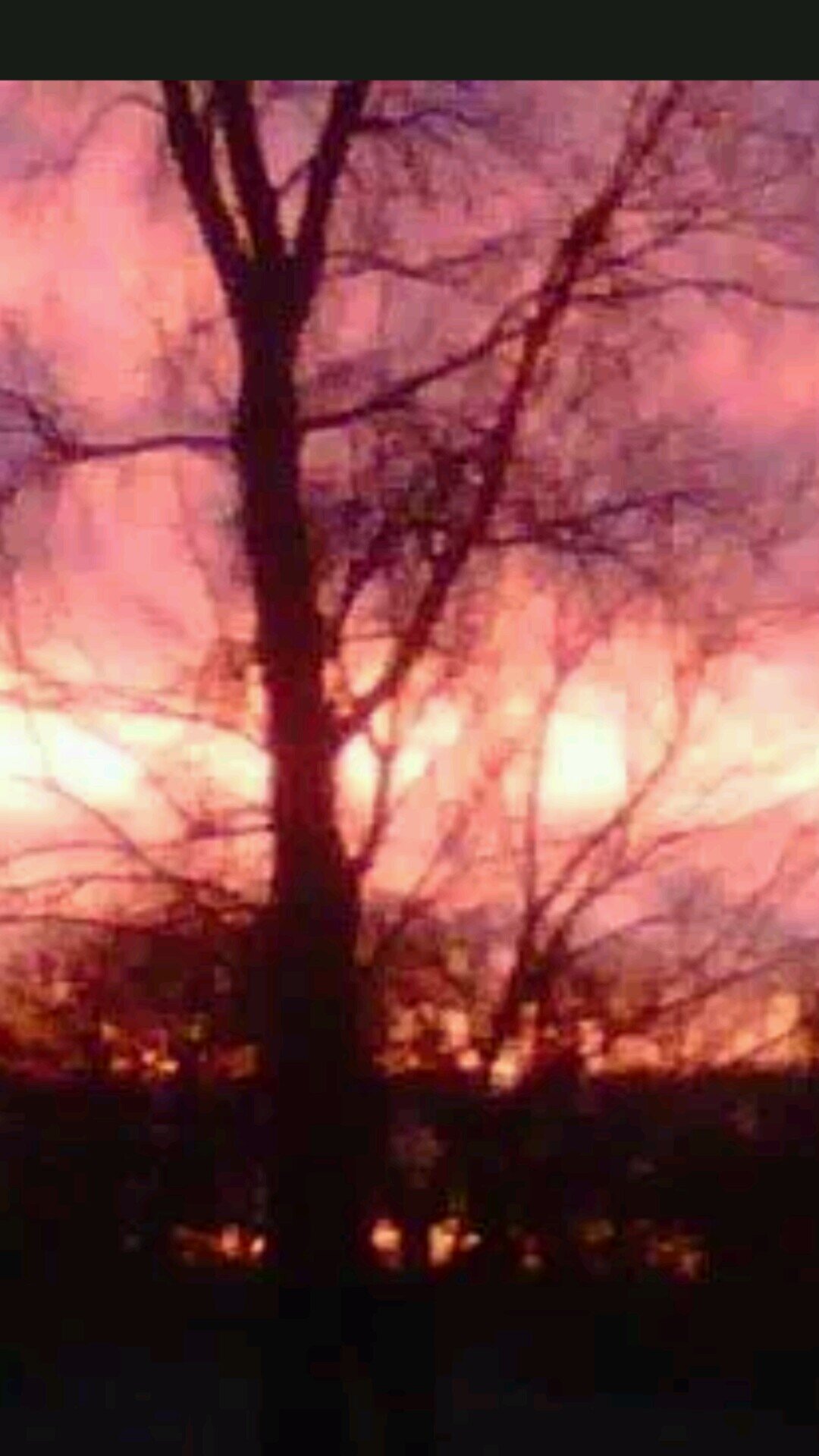 HeffernDale's profile picture. 