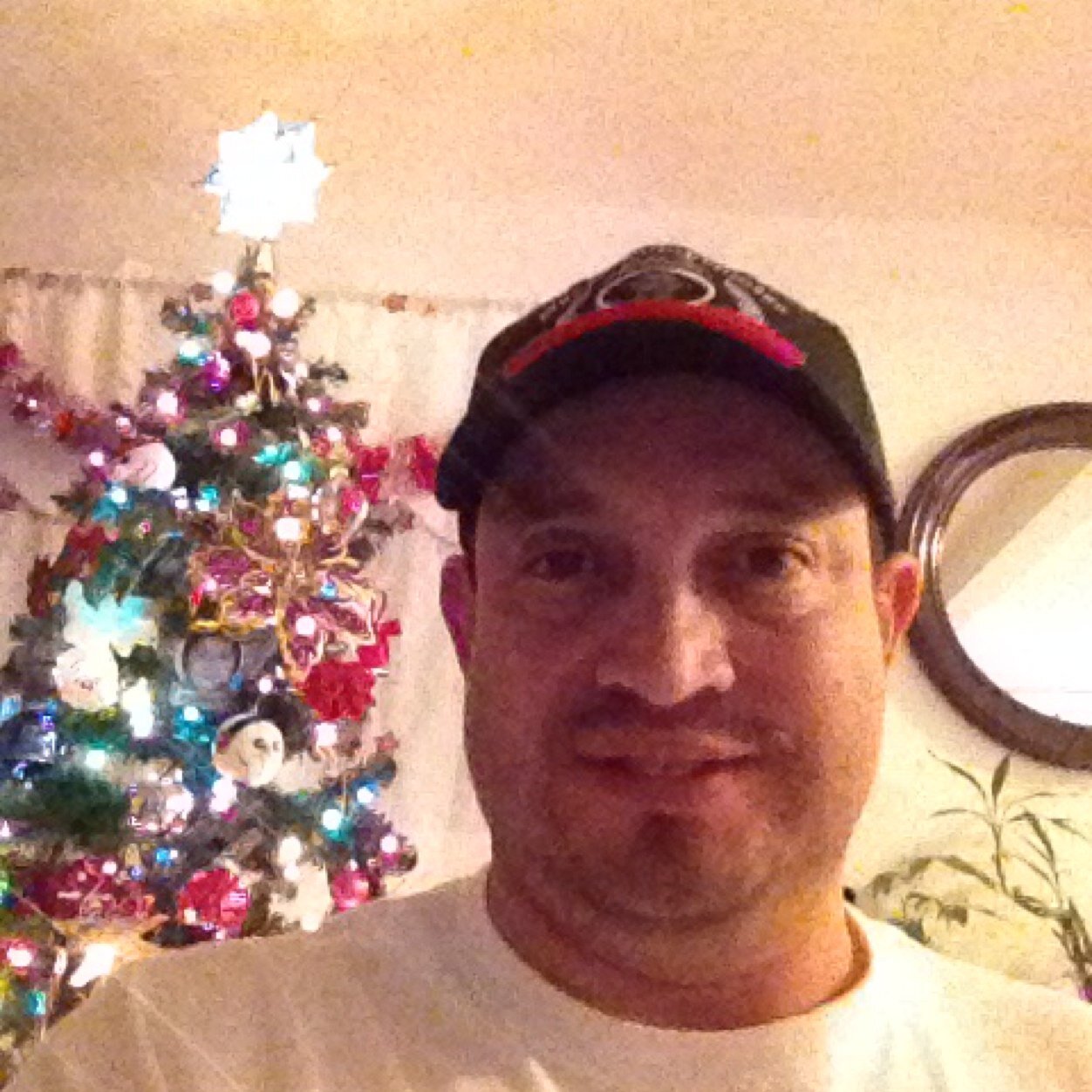 ALLDATA2's profile picture. 