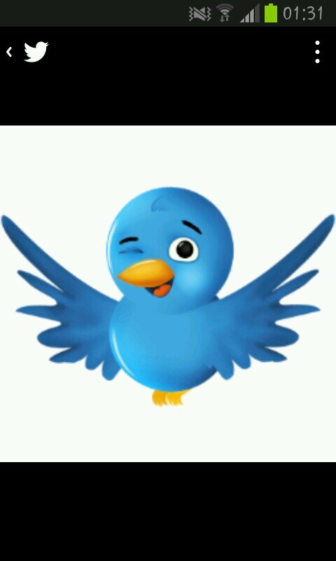 I follow everyone back! ------------ Follow for a follow #TeamFollowBack #AutoFollow ★ #InstantFollow ★ #shoutout RT and follow.