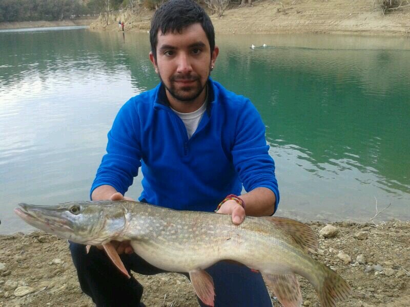 el sexo y la drogas el pereji y las garrapatas