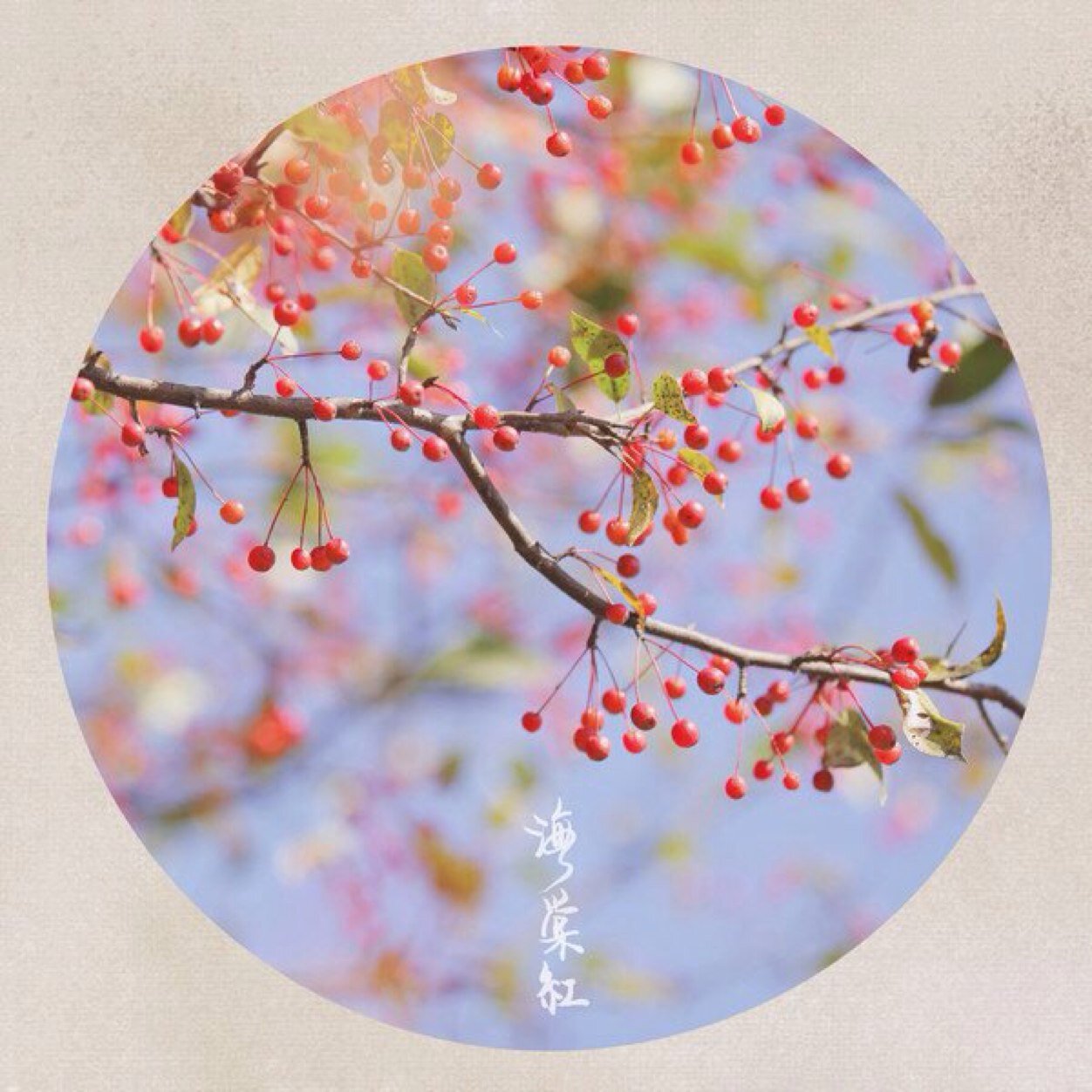 水谷雅子 Teababy03love Twitter