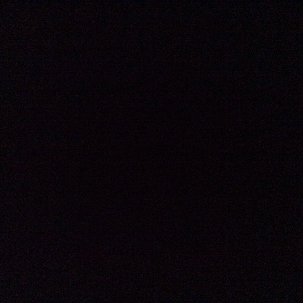 DuckCheif's profile picture. 