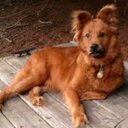 Geoffrey Freeman - @gwgfree - Twitter