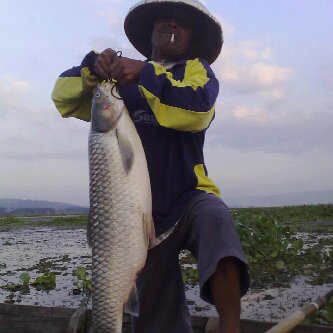 Abdulro15836963's profile picture. 