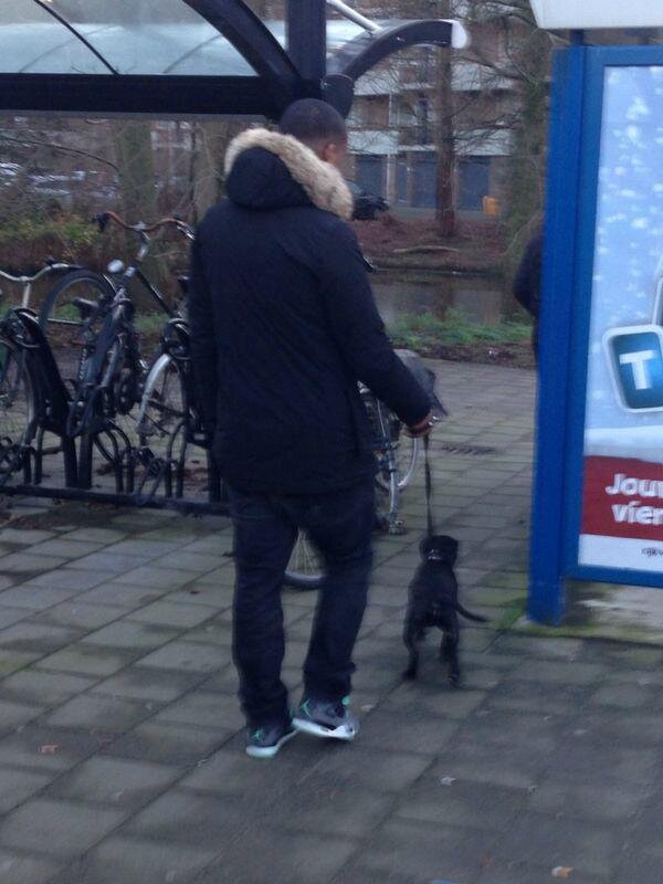 shaqes_'s profile picture. Don't Get Mad But Get Money