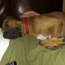 michael cardiff - @archangelmbc - Twitter