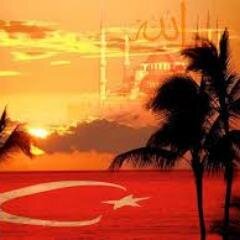 ''CahiI kişi güIün güzeIIiğini görmez, gider dikenine takıIır.''