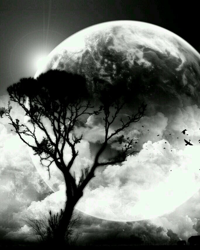 depressionslut's profile picture. I tweet band lyrics and my saddest of thoughts.