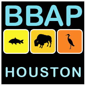 BBAP - Temporary Public Art Houston