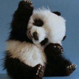 PositivePandaa's profile picture. Hello friend! Im always here for you ツ !! I luv luv luv luv you soooo much! #POSIPOSSE #SNCKCREW