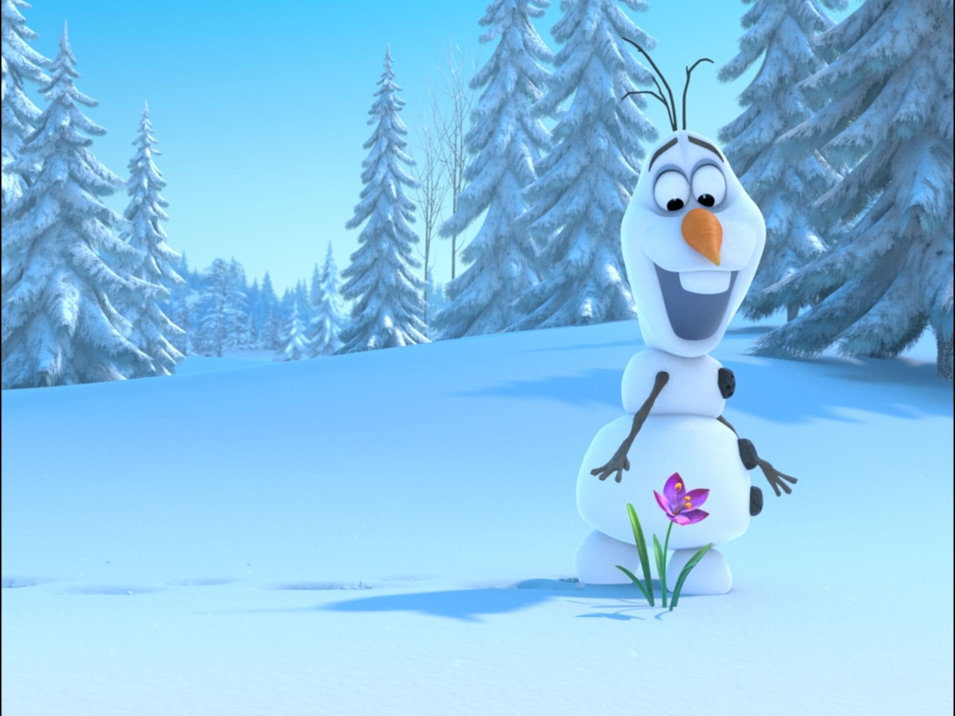 Hi, everyone! I'm Olaf and I like warm hugs!