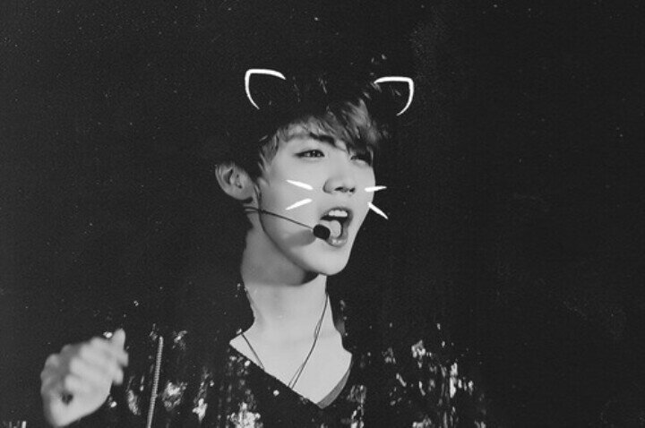 Luffaniee's profile picture. ❇| xoxo 루한 | BTS 박지민 |❇