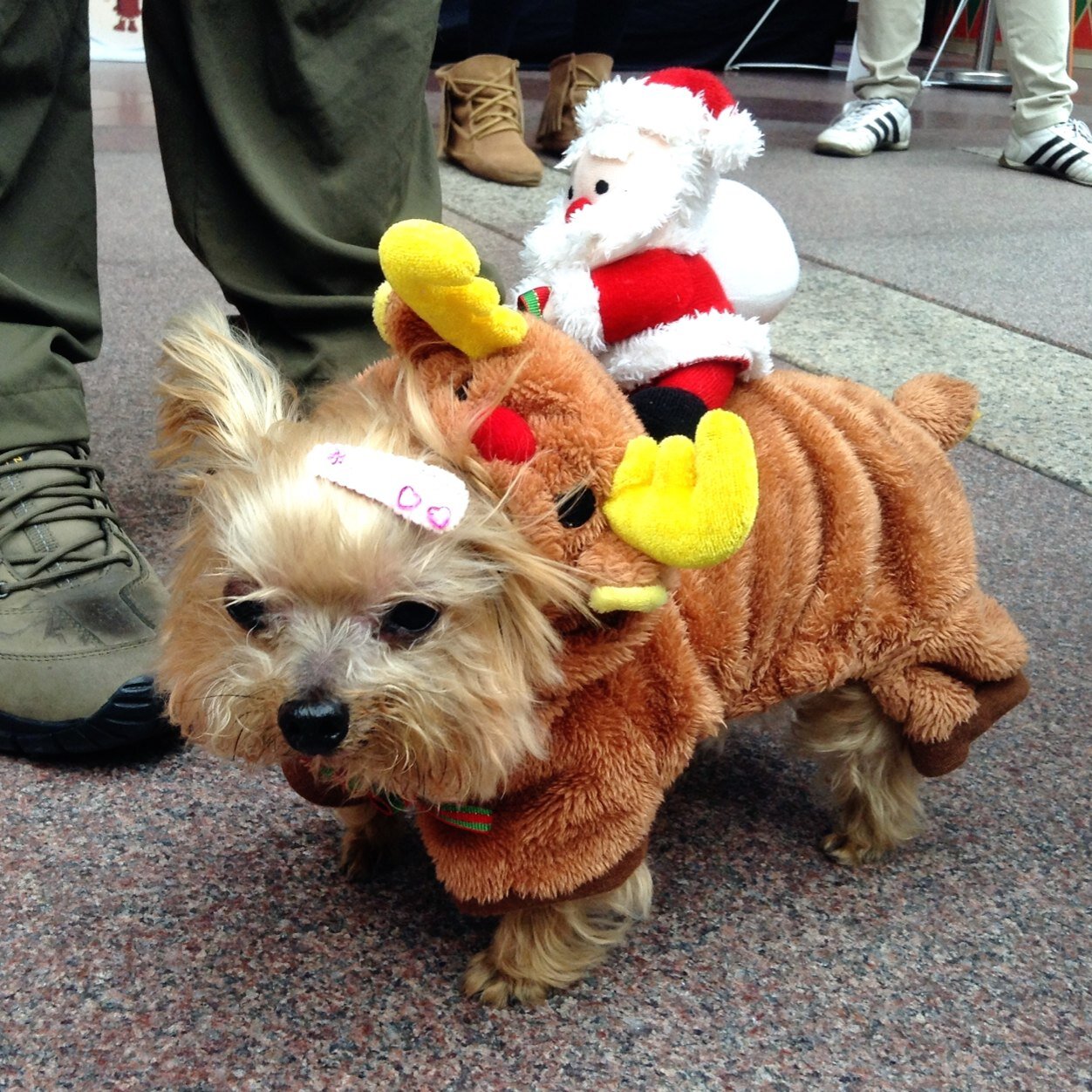 JhihHueiMa's profile picture. 來自台灣