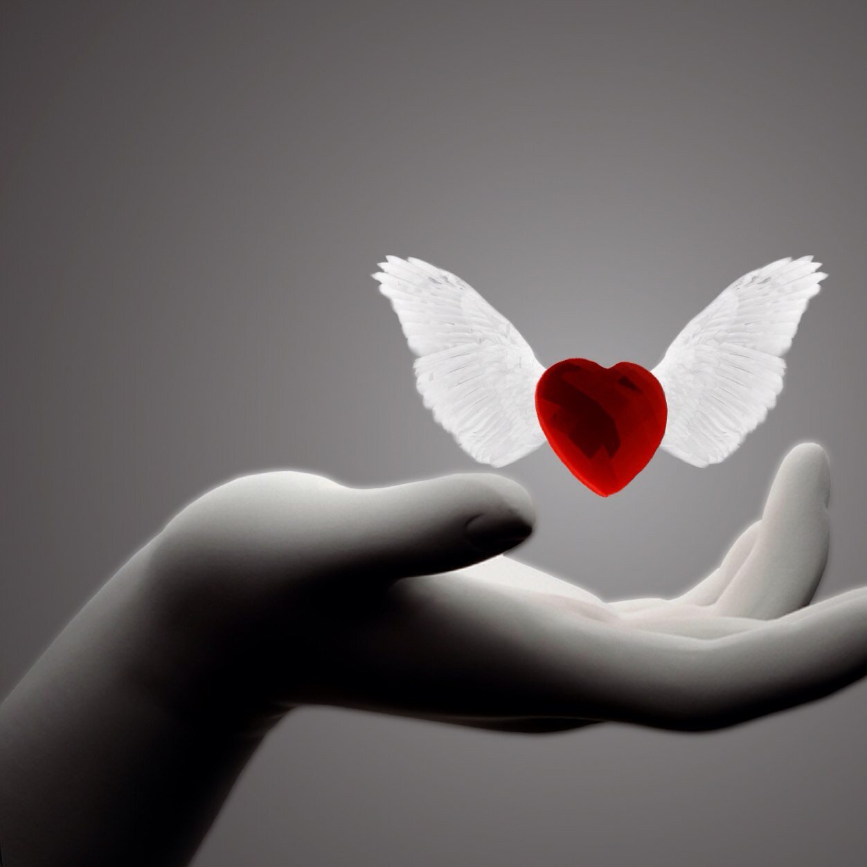 digitaldev2012's profile picture. 