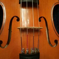 Selinda Proctor (@classicalchica) 's Twitter Profile