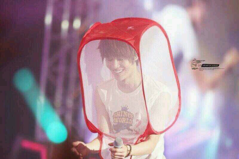 SHINee/f(x)/sm/k-pop/00line  120429SW札幌 130803SW札幌 131026SMT 141123SW札幌参戦