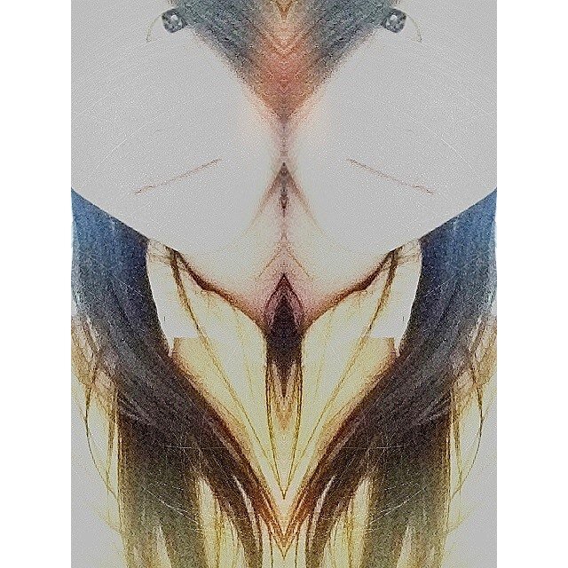 In the end they'll judge me anyway , so whatever.  YOLO .