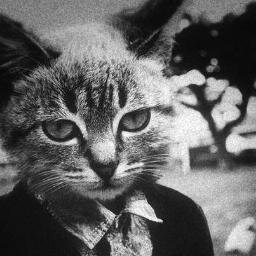 DifferentMinds7's profile picture. Sígueme y te sigo no muerdo ,  recibirás los mejores estados e imágenes :3