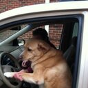 brian steffey - @steffeync - Twitter