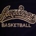 St Thomas Basketball (@aquinashoops) Twitter profile photo