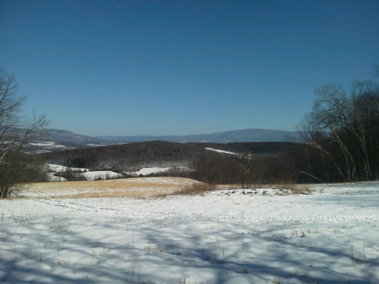 NE_farmboy's profile picture. farm raised farm bred, been drivin tractors sense i was 5, i love pullin tits, hunting season is my favorite season, and if it aint red it stays in the shed