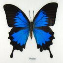 josh rowley - @cleanuprealgood - Twitter