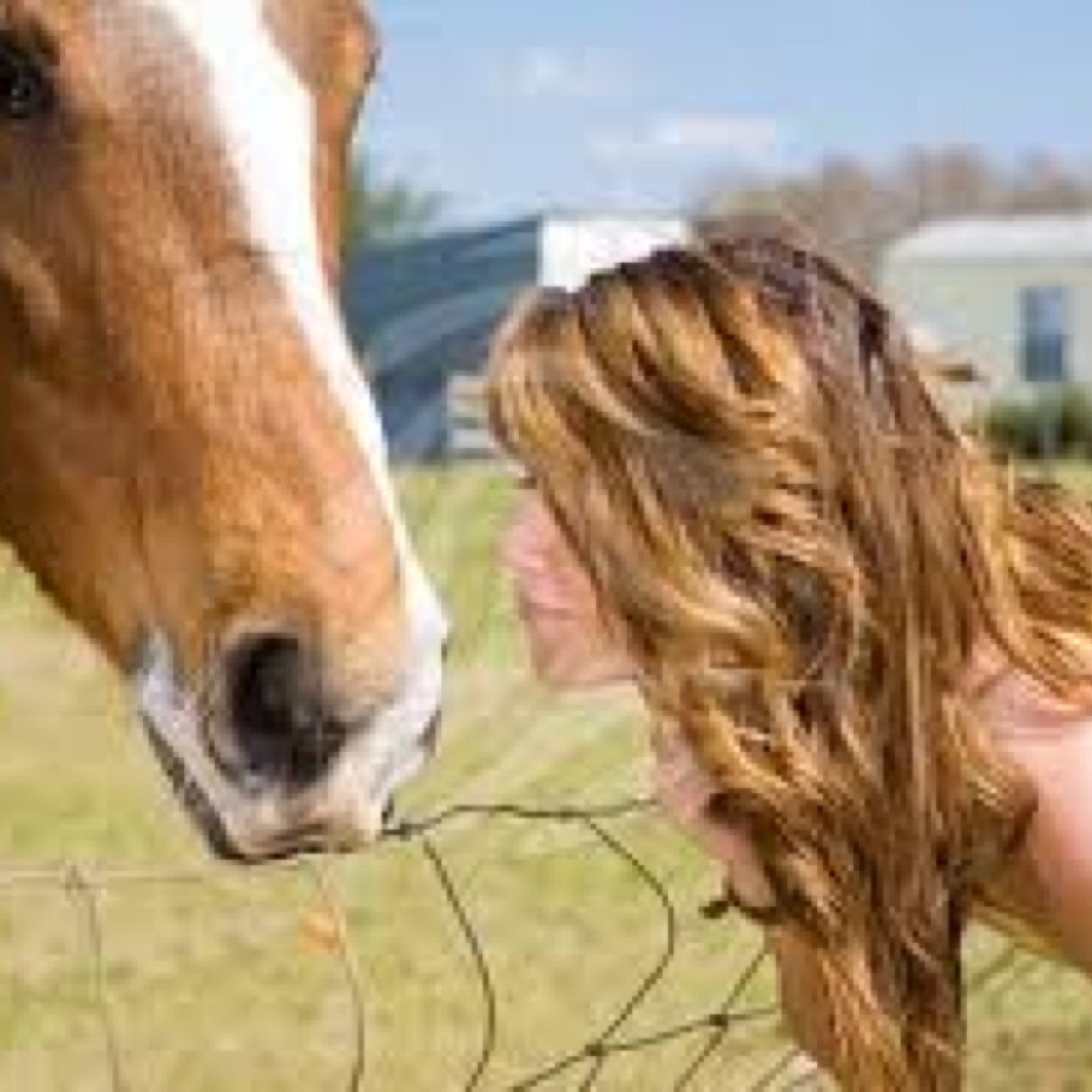 NonHorseFriend's profile picture. I know what I'm doing... Trust me. I rode at the fair! *first NonHorseFriend*