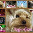 terrie gallagher - @terriegallaghe3 - Twitter