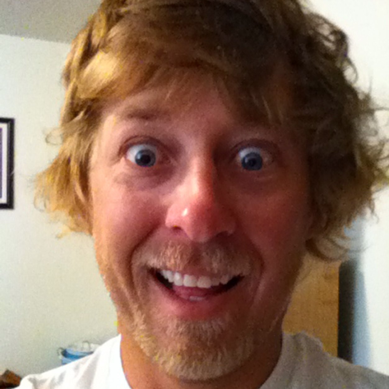 14gills's profile picture. 