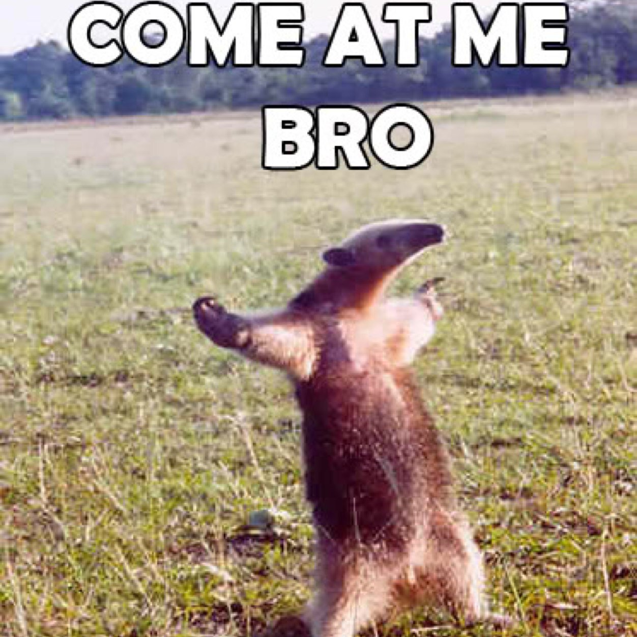 GetIntimidating's profile picture. Daily Tips to become incredibly Intimidating.