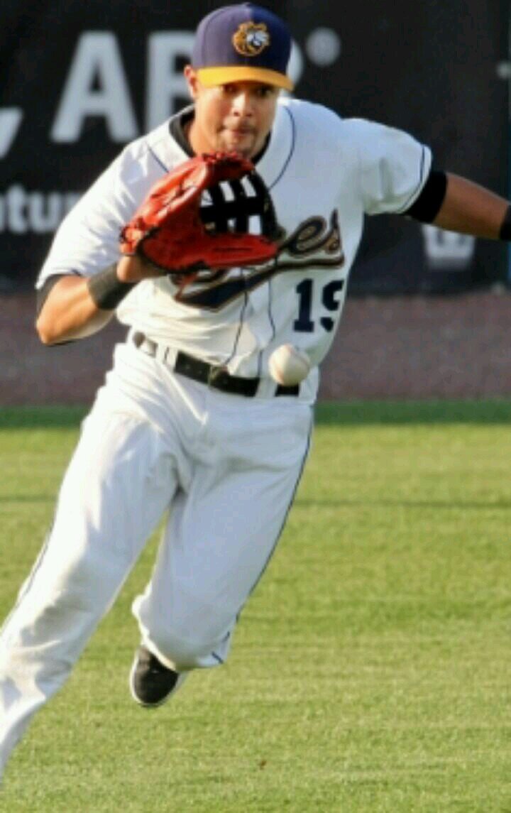 ex-professional baseball player
