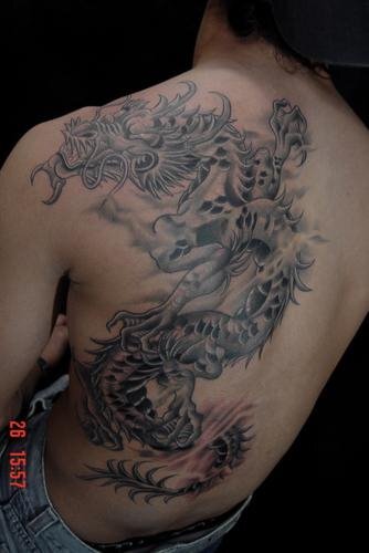 gustavaoh2's profile picture. xxxxxxxxxxxxxxxxxxx