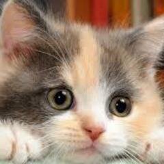 http://t.co/QjKXPWmLiq