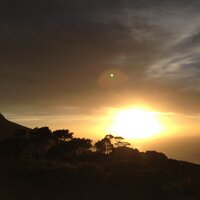 Gerda van der Westhu (@dergerda) 's Twitter Profile