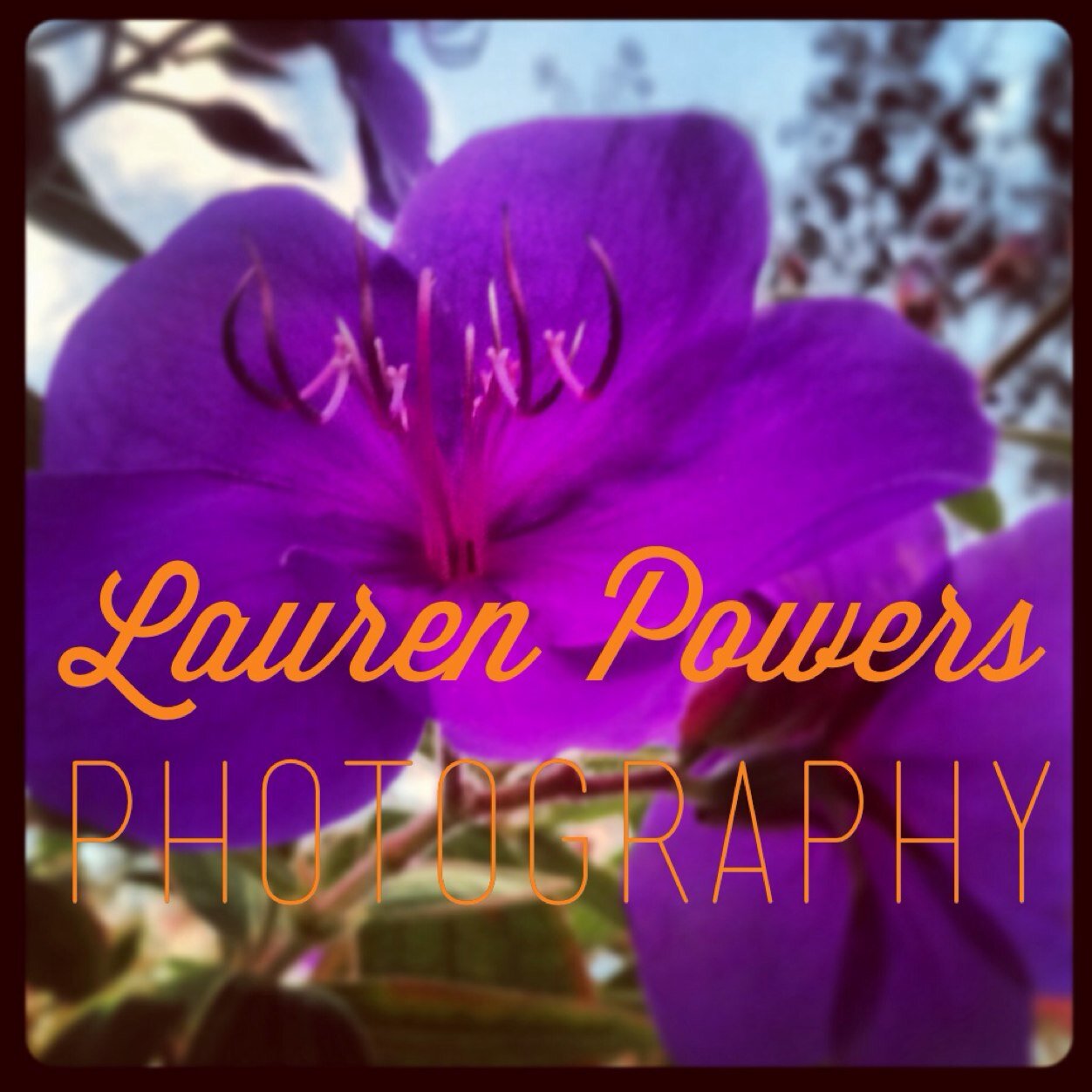 Fine Art Travel Photographer 
 http://t.co/F80Nx2Grq2
Blogger @FewFavThingBlog
