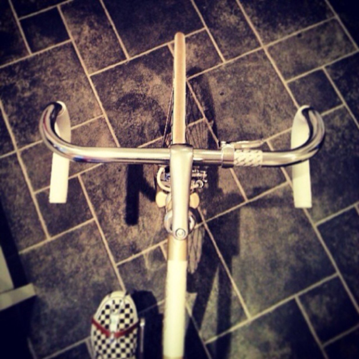 fixedgearbeauty's profile picture. Fixie gang or die