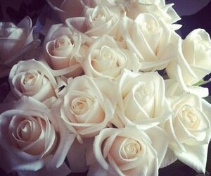 amor_phahlane's profile picture. Love sports, traveling, shopping, night out with the girls , books , going to the beach , having a good time with my family ooh and did I mention dancing !?