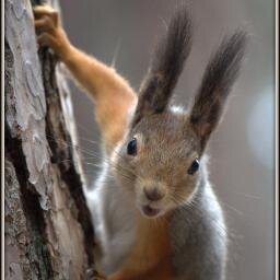 EliseevVitalij's profile picture. Выслушаю всех!