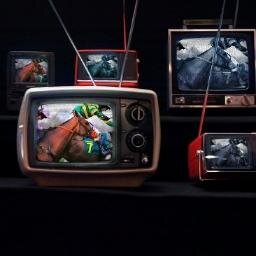 Pronostics , courses et championnat de pronos quinté +