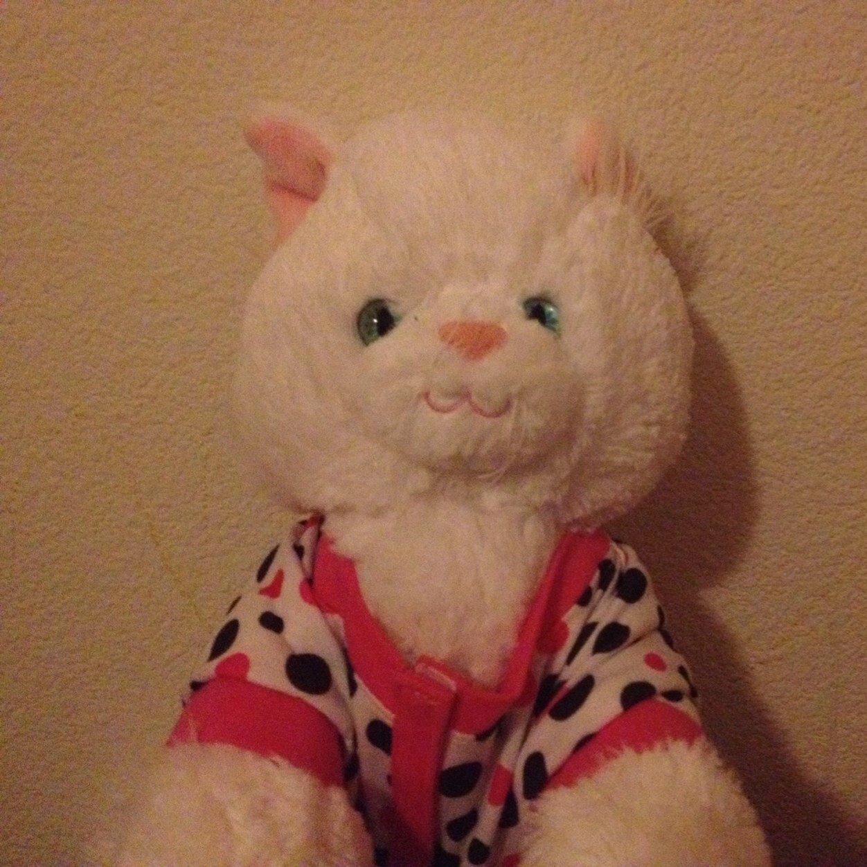 KittyCreampuff1's profile picture. The fabulous, ongoing adventures of Kitty Creampuff.