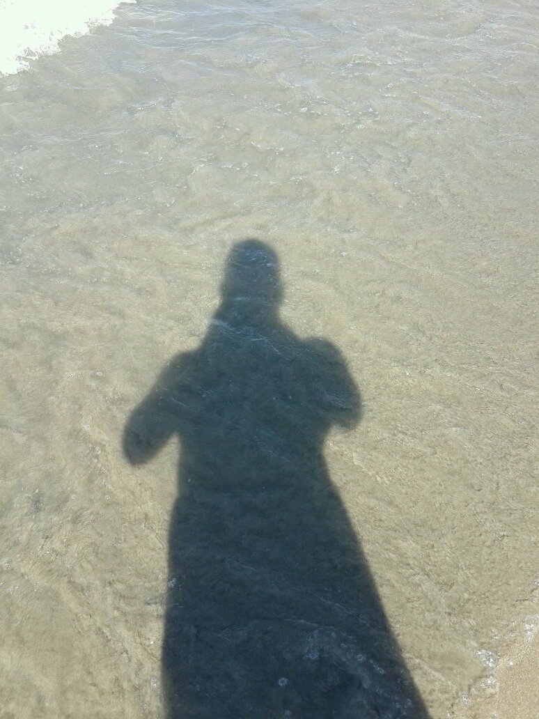 necatata's profile picture. 