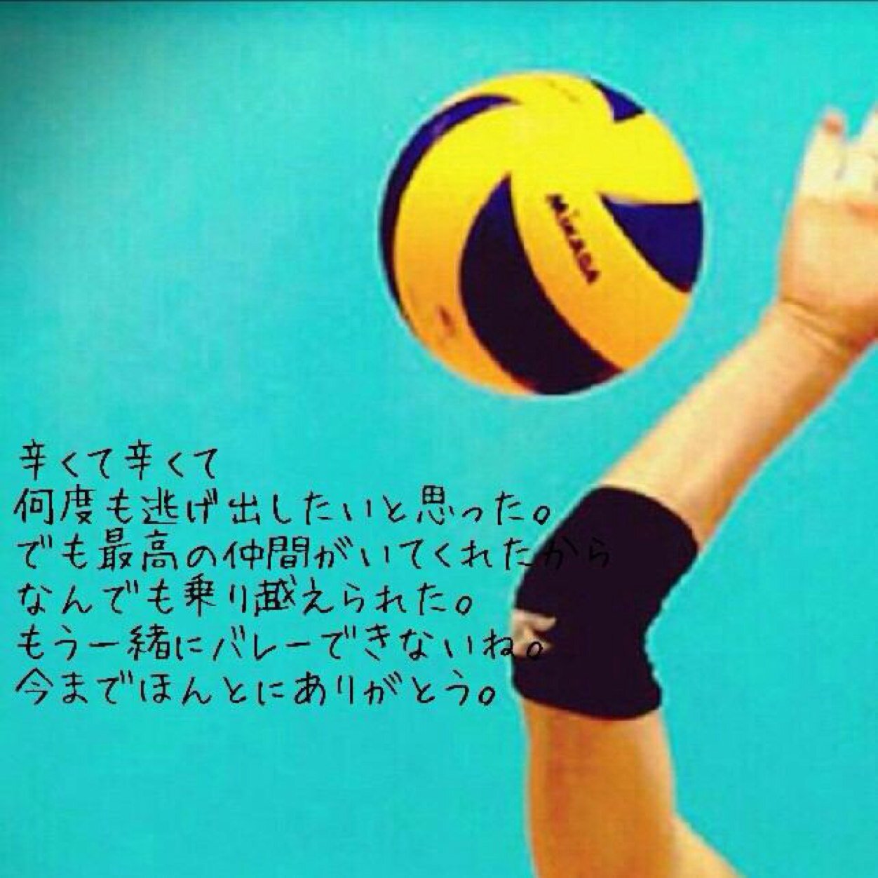 バレールールbot Volley Rule Twitter