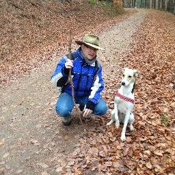 X Domsin, Cisco, DNA Center, APIC-EM, SDN, IPv6, LISP, Automation and Anale myKids, myDog - All tweets are my personal tweets and written on my own!
