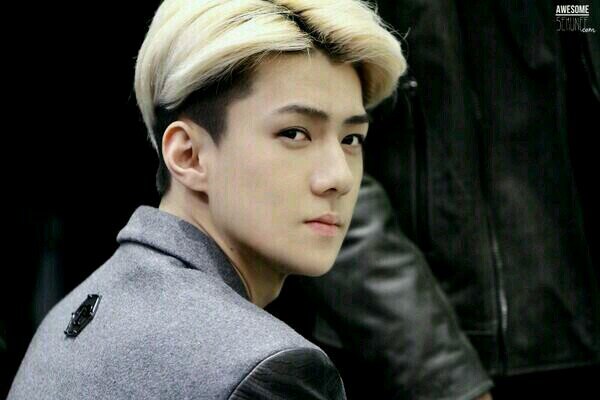 sehunest_'s profile picture. {oppa loves me bcos im his fan}